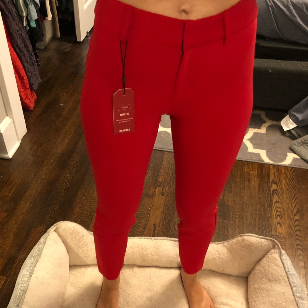 Express Work/ Dress Pants